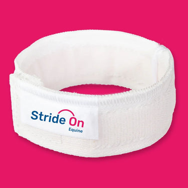Stride-On equine leg band on a pink background.